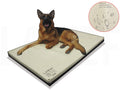 Cama colchoneta para mascota impermeable